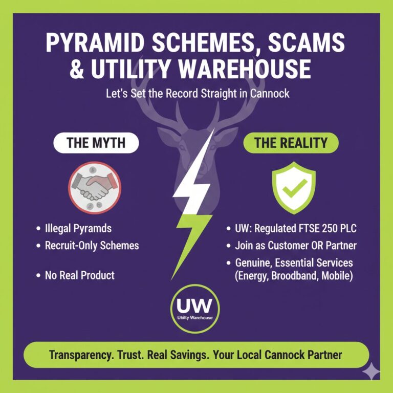 What is a Pyramid Scheme pyramid scheme setting the record straight